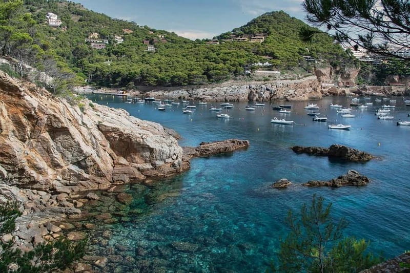 From Barcelona: Private Costa Brava Guided Tour - Should You Book This Costa Brava Guided Tour?