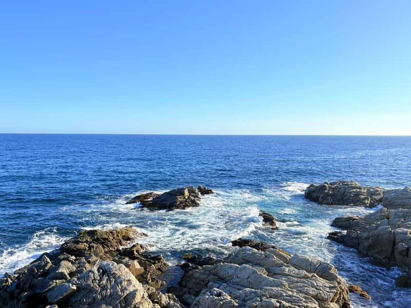 From Barcelona: Private Costa Brava Guided Tour - Tossa de Mar: Medieval Fortress Views That Earn the Hike
