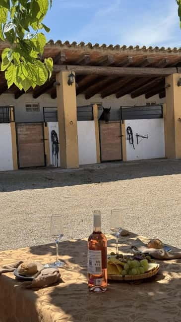 From Barcelona: PRIVATE Horseback Ride + Tapas + Wine Picnic - The heart of the day: your 1.5-hour private horseback ride in Penedès