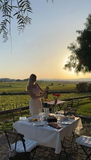 From Barcelona: PRIVATE Horseback Ride + Tapas + Wine Picnic - Private transport, private group: what you’re actually buying