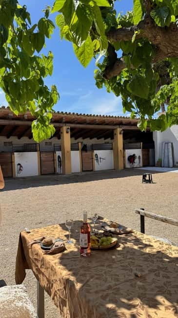From Barcelona: PRIVATE Horseback Ride + Tapas + Wine Picnic - Photoshoot option: nice add-on or unnecessary?