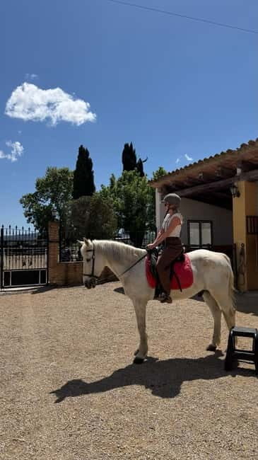 From Barcelona: PRIVATE Horseback Ride + Tapas + Wine Picnic - What the guide experience is like (English-led, with other languages available)