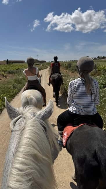 From Barcelona: PRIVATE Horseback Ride + Tapas + Wine Picnic - Price and logistics: the value check before you commit