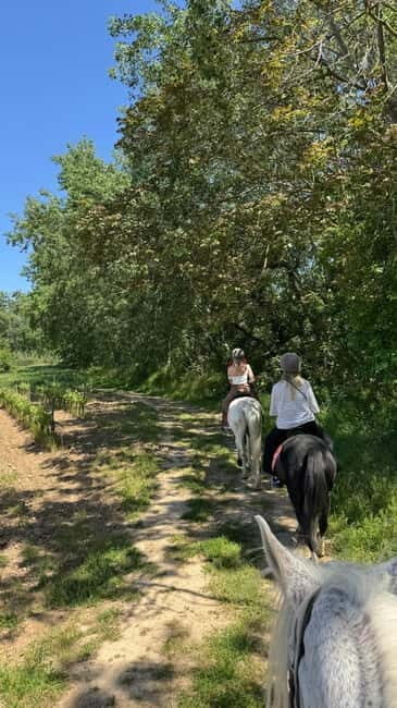 From Barcelona: PRIVATE Horseback Ride + Tapas + Wine Picnic - Getting from Barcelona to the vineyard country (and why timing matters)