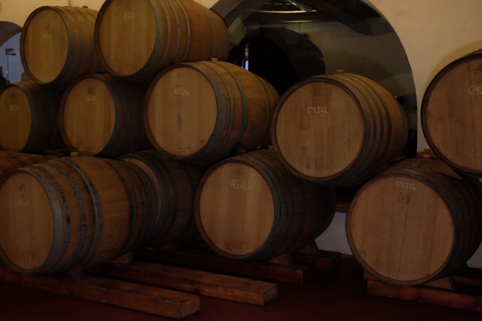 From Barcelona: Private Montserrat and Boutique Winery Tour - What to Wear and Expect on a 10-Hour Montserrat + Wine Day