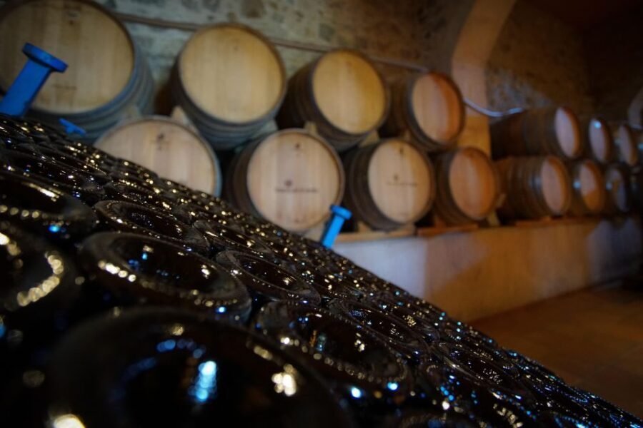 From Barcelona: Sailing and Wine Tasting Experience - Key things that make this tour work