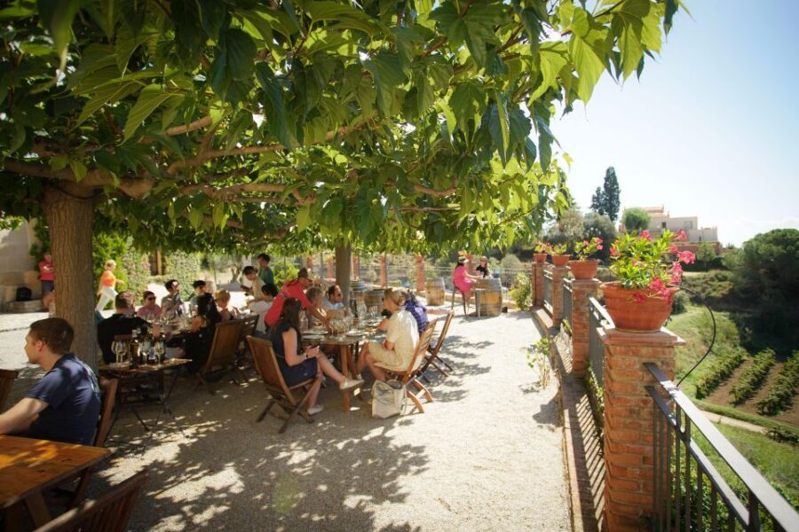 From Barcelona: Sailing and Wine Tasting Experience - The winery visit: a family-run 14th-century estate with modern farming