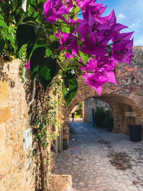 From Barcelona: Small-Group Tour Costa Brava & Dali Museum - Figueres and the Dali Museum: how to use your time well