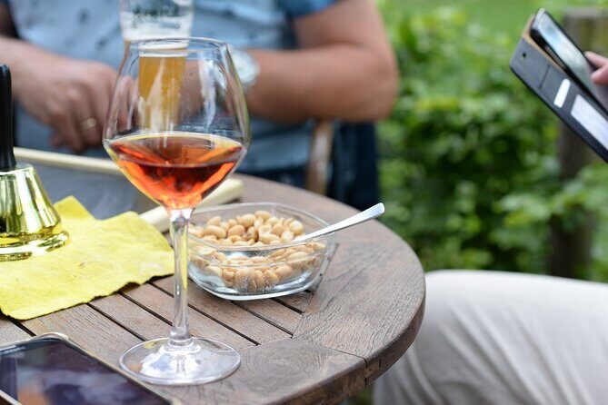 From Barcelona: Wine Cellar Visit in Penedes with Tasting - Guardiola de Font-Rubí winery tour: vineyards, history, and the production part that counts