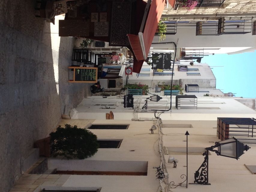 From Costa Dorada: Peñíscola and Ebro Delta Sightseeing Tour - Price and Value: Does $50 Feel Fair?