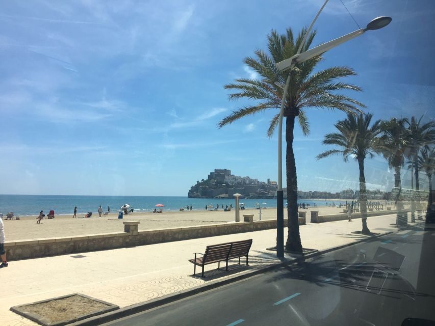 From Costa Dorada: Peñíscola and Ebro Delta Sightseeing Tour - Flamingo Time (and How to Spot Birds Without Losing the Day)