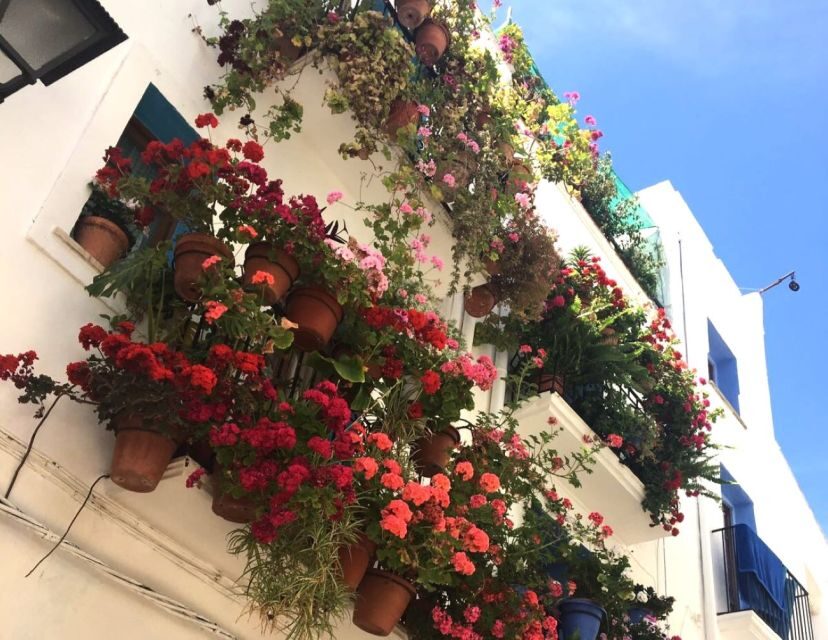 From Costa Dorada: Peñíscola and Ebro Delta Sightseeing Tour - Peñíscola First Impressions: White Houses, Blue Shutters, and Tile Details