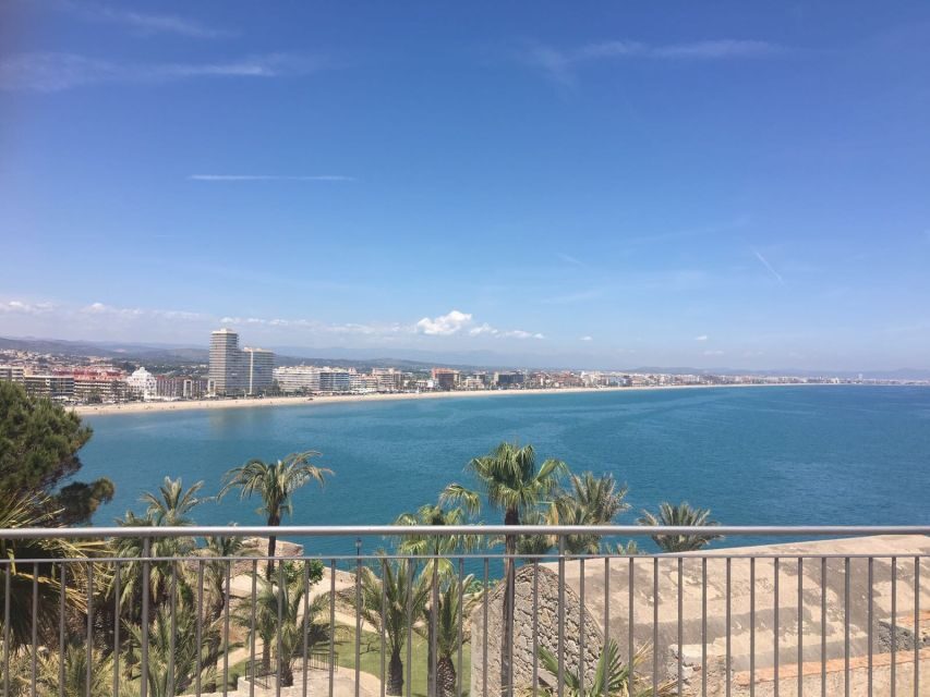 From Costa Dorada: Peñíscola and Ebro Delta Sightseeing Tour - The Rice Fields and Arroz Bomba Stop You’ll Remember