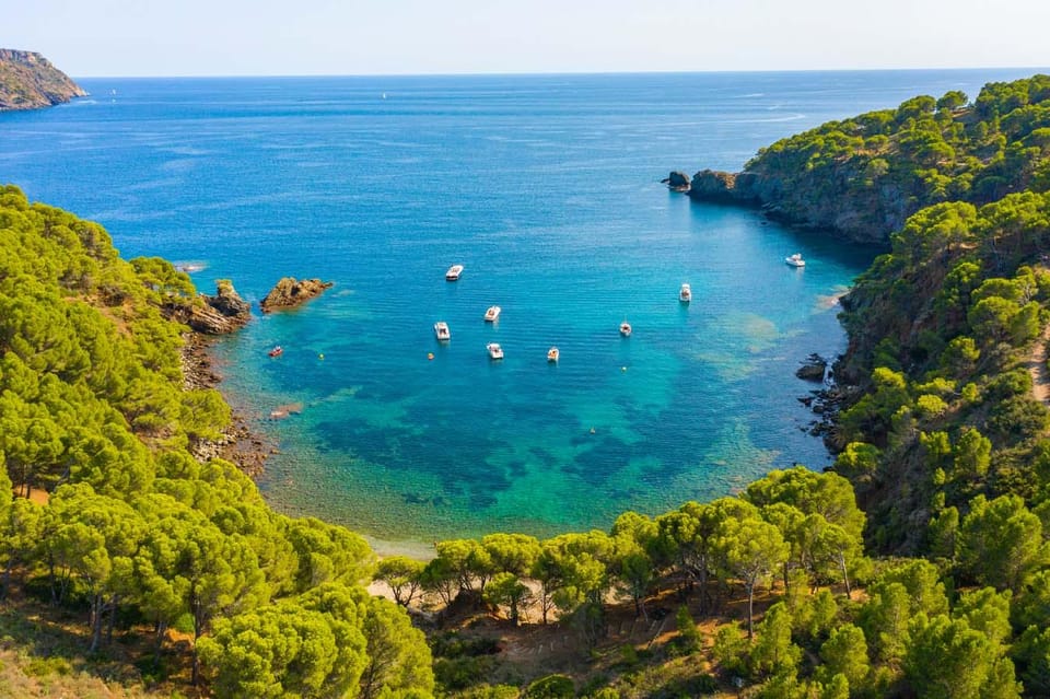 From Roses: Cap Norfeu Boat Cruise & Swimming - The Bar Service: Think Drinks, Not Meals