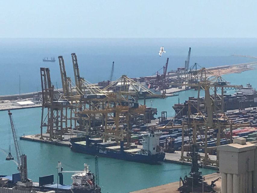 From Salou: Full Day Barcelona Panoramic Tour with Free Time - Guide and driver impact: why some days feel effortless