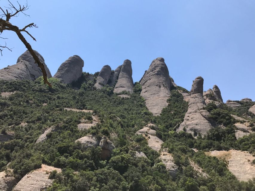 From Salou: Montserrat Monastery and Colonia Güell - Walking, steps, and the pace at Colònia Güell