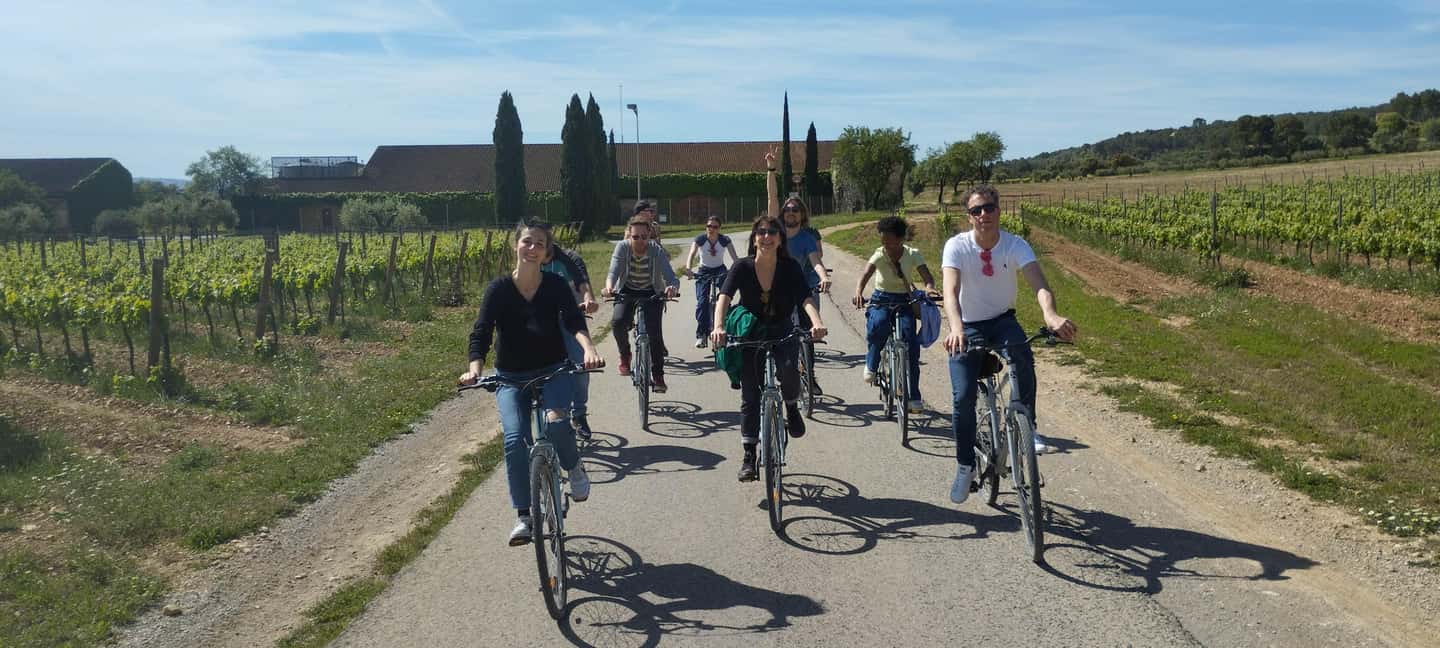 From Sitges: Cycling Tour with Winery visit and Tasting - Why Penedès from Sitges feels like the right kind of day trip