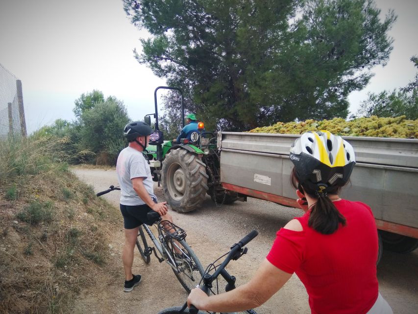 From Sitges: Cycling Tour with Winery visit and Tasting - Tips to make the day smoother