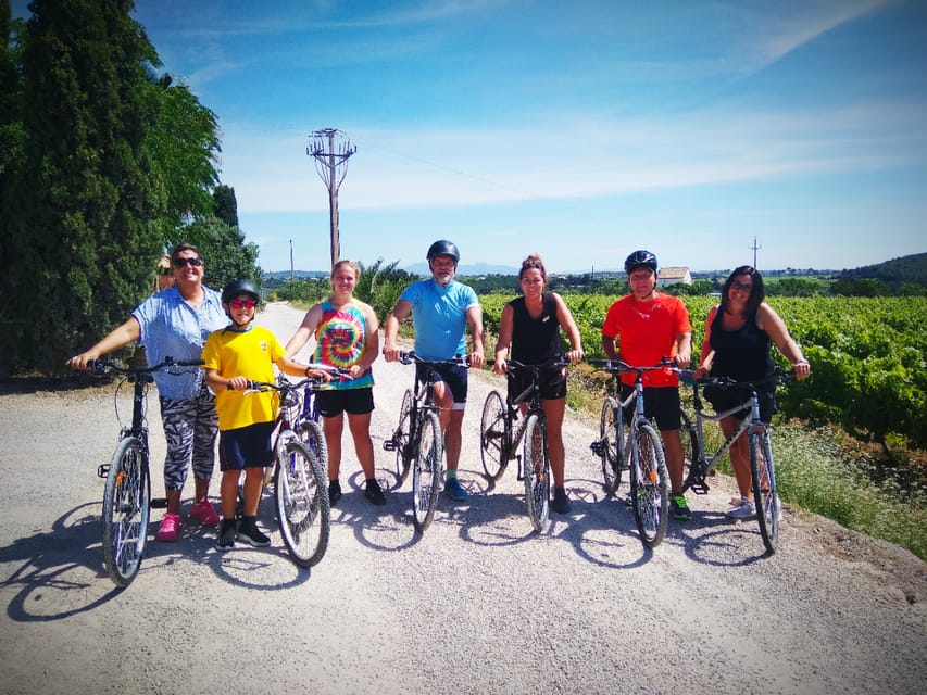 From Sitges: Cycling Tour with Winery visit and Tasting - The winery stop and the vine-to-bottle lesson