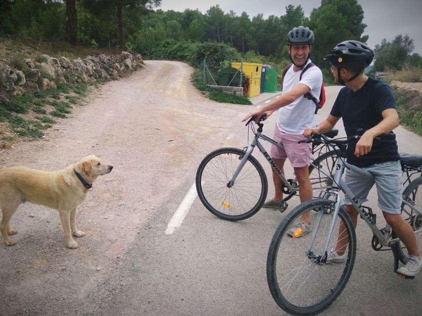 From Sitges: Cycling Tour with Winery visit and Tasting - Tasting cava and local flavors: what’s actually included