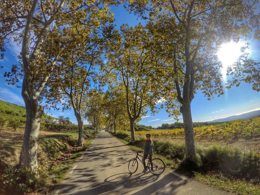 From Sitges: Paella Masterclass, Bike Ride and Winery Visit - What This $130 Price Really Covers (and What It Doesn’t)
