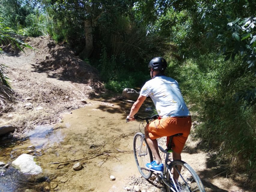 From Sitges: Paella Masterclass, Bike Ride and Winery Visit - Who This Tour Fits Best (and Who Might Want Something Else)