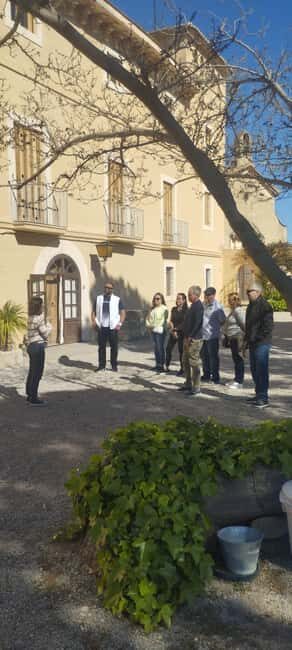 From Sitges: Wine Tasting at 2 Wineries, Snacks and Pickup - Who this suits best (and who might skip it)