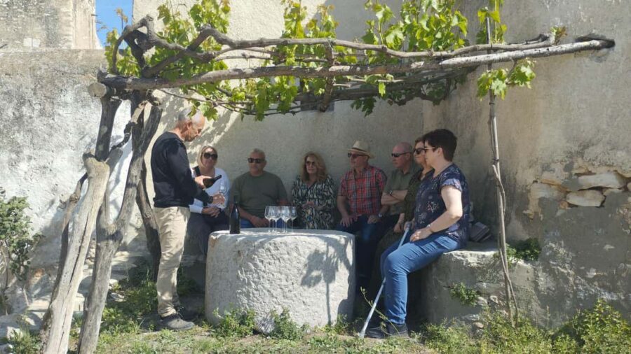From Sitges: Wine Tasting at 2 Wineries, Snacks and Pickup - The van ride: comfort, small group, and a nicer kind of freedom