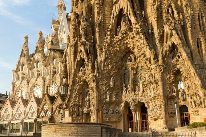 Full-Day Private Guided All Inclusive Barcelona Shore Excursion - Barcelona Cathedral: Terrace light, cloister calm, and the crypt