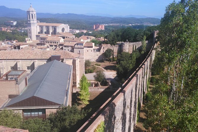 Girona and Besalu, Jewish History tour Small Group from Girona - Puente de Besalúa: A Medieval Gateway That Frames Everything Else