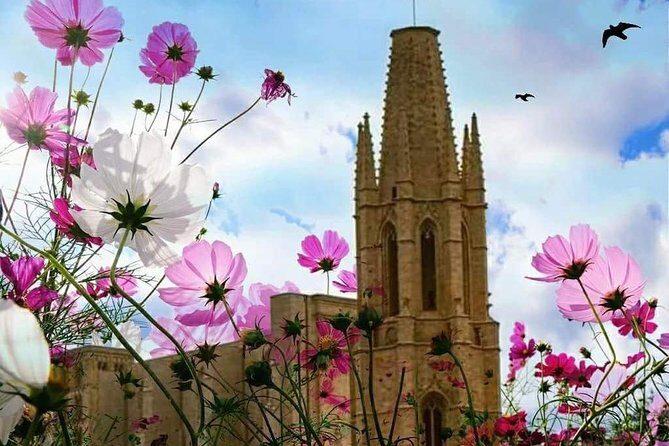 Girona Guided Tour with Cathedral, Arab Baths & St Feliu Basilica - Stop 5: Passeig de la Muralla (climb for views over Girona)