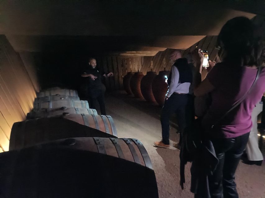 Girona: Local Wineries Tour with Breakfast and Wine Tasting - Stop 1: Empordalia (Celler de Vilajuïga) with breakfast and first tastings