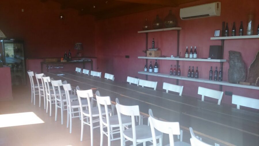 Girona: Local Wineries Tour with Breakfast and Wine Tasting - Understanding wine in two approaches: traditional vs new generation
