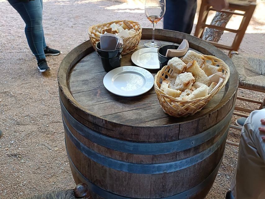 Girona: Local Wineries Tour with Breakfast and Wine Tasting - The wine tasting menu: what you’ll pour and how to taste smart