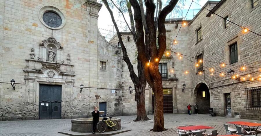 Gothic Quarter and Old City - The Gothic Quarter: Barcelona’s Origins on Foot