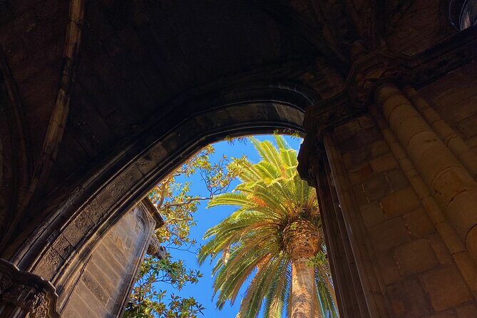 Gothic Quarter & Picasso Museum Private tour - Pace and comfort: the walking reality in the Barri Gòtic