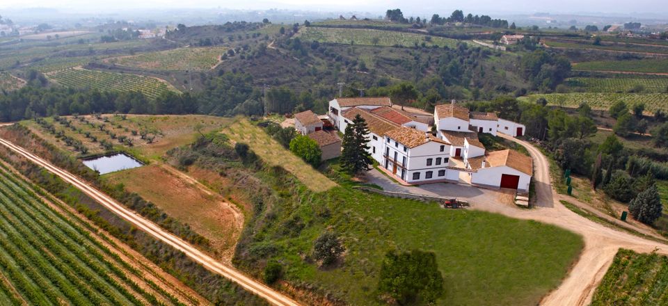 Guardiola de Font-Rubí: Winery & Grill Menu Tour - Starting at Bodega J. Miquel Jané: Location and Meeting Point Reality