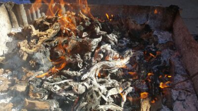 Guardiola de Font-Rubí: Winery & Grill Menu Tour - Walking the Vineyard: How the Tour Trains Your Tasting