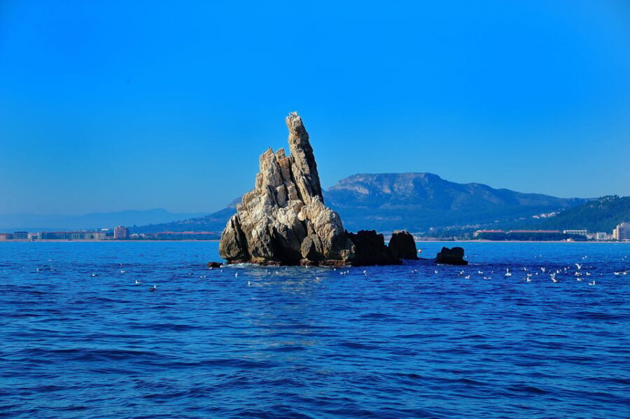 Guided Boat Tour to Medes Islands & Roca Foradada with Swim - Key Points I’d Use to Decide