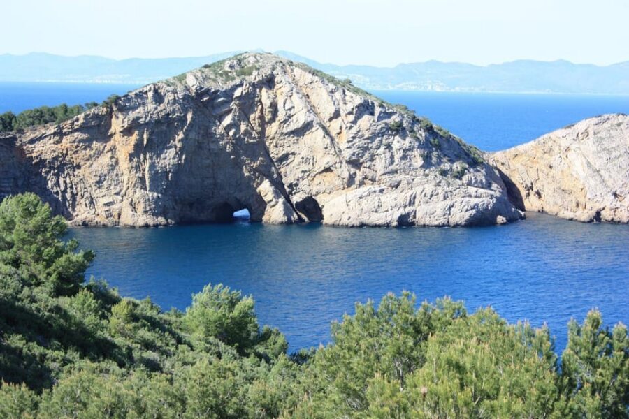 Guided Boat Tour to Medes Islands & Roca Foradada with Swim - The Swim Stop: Fish, Plants, and the Short-Window Reality