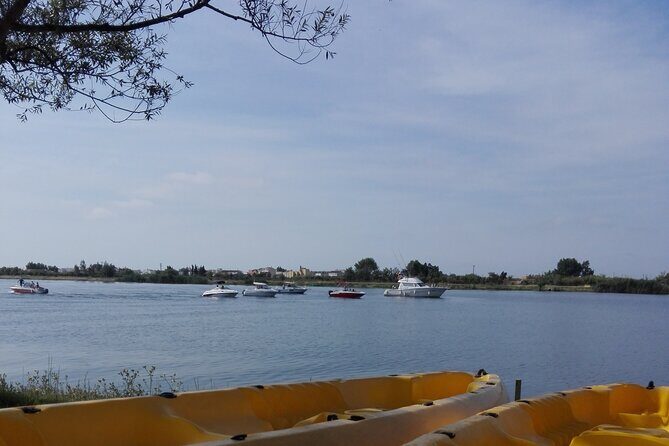 Guided Kayak Tour to Gracia Island - Guide style: multilingual, friendly, and focused on sharing