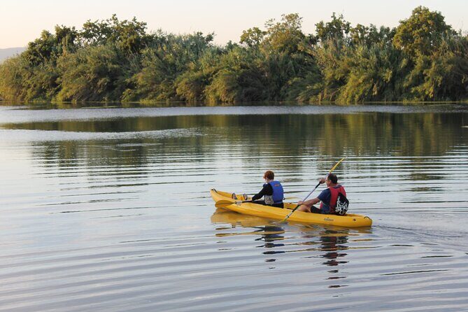 Guided Kayak Tour to Gracia Island - Humid nature stop: where the guide sets your eyes
