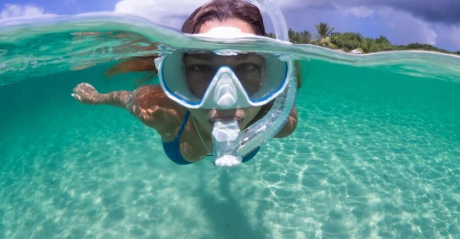 Guided Snorkel in Barcelona Beach - Gear and getting comfortable: what you bring vs. what’s provided
