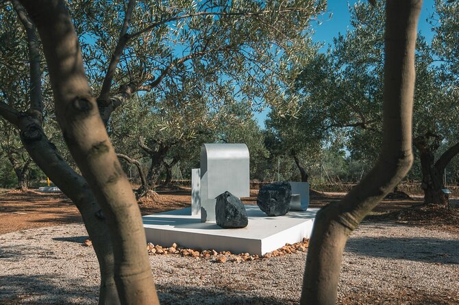 Guided tour Museum of Contemporary Art and Sculpture Park - Logistics that can affect your day