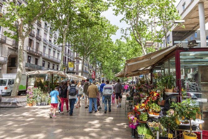 Half Day Barcelona Private Walking Tour - Key Highlights You’ll Feel Right Away