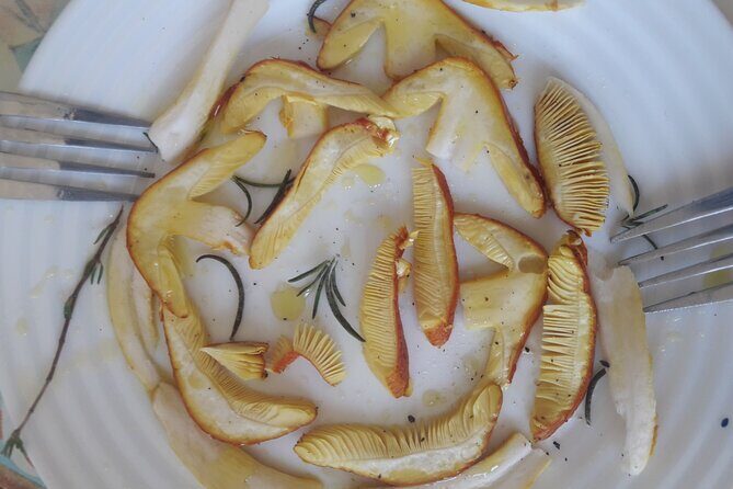 Half Day Gastronomic Wild Walk in Girona - Key things you’ll notice on this tour