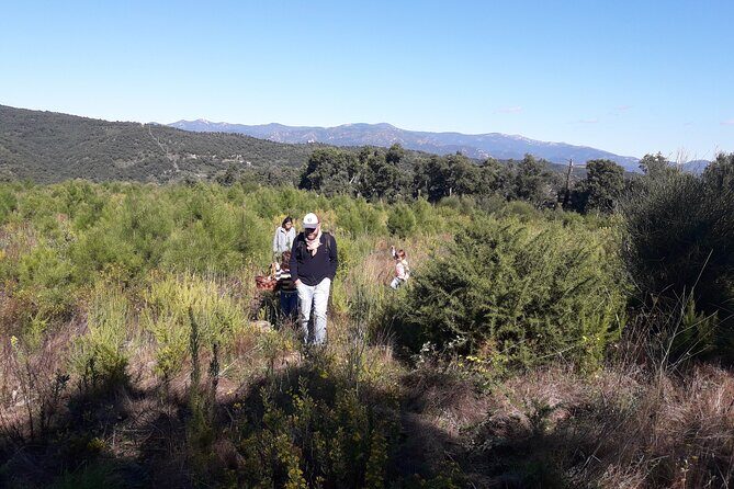 Half Day Gastronomic Wild Walk in Girona - Starting at Font del Ferro: the easiest way to go “wild” in Girona