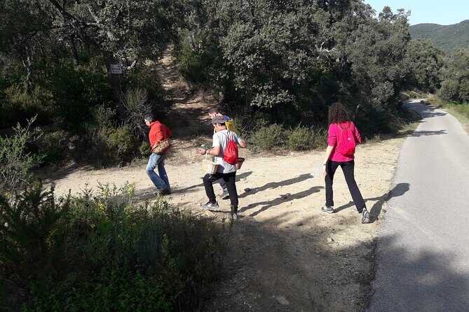 Half Day Gastronomic Wild Walk in Girona - Duration and pacing: about 3 hours, on foot, with a tight group