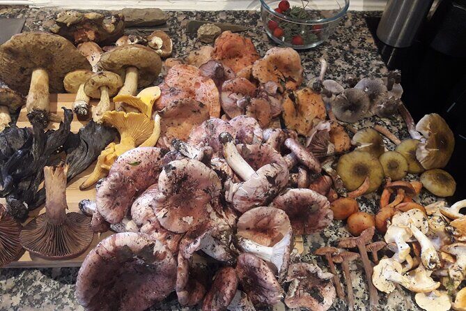 Half Day Gastronomic Wild Walk in Girona - Should you book this Girona wild walk?