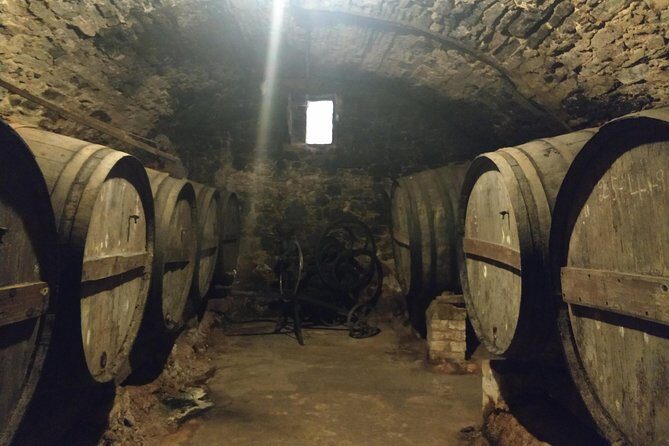 Half Day Private Wine & Oil Tasting Tour near Barcelona with hotel pick up - Why this Montserrat-area tasting day beats staying in Barcelona